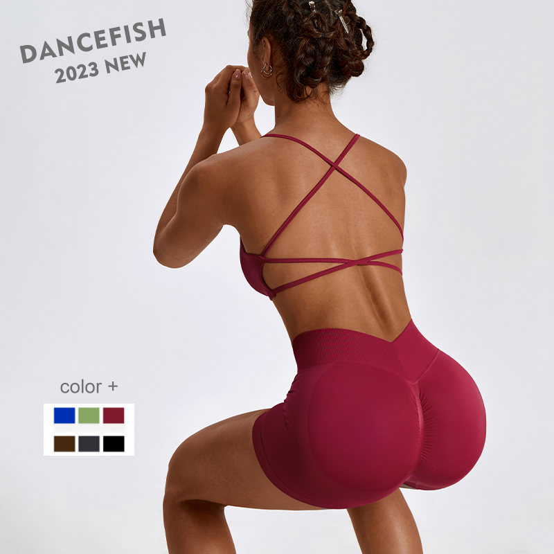 DANCEFISH 2023 Women Seamless  - đánh giá và giá Yoga Daily Fitness