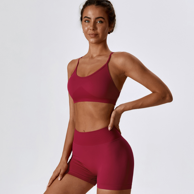 DANCEFISH 2023 Women Seamless  - đánh giá và giá Yoga Daily Fitness