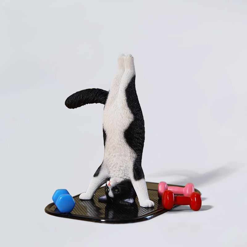 1/6 Scale Mini Simulated Fitne - đánh giá và giá Yoga In Fitness First